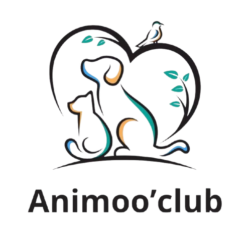 Animooclub